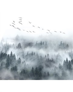 Фотообои В густом тумане 3D флизелиновые 300х270 см L13 125 Fbrush