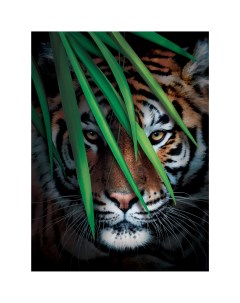 Фотообои Тигр на охоте флизелиновые 200x270 см L13 196 Fbrush