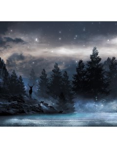 Фотообои Туманная ночь флизелиновые 300x270 см L13 206 Fbrush