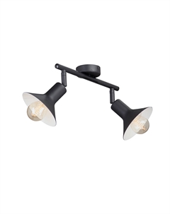 Спот потолочный E27 80 Вт 4 кв.м черный IP20 (V4807-1/2PL, 9768) Vitaluce