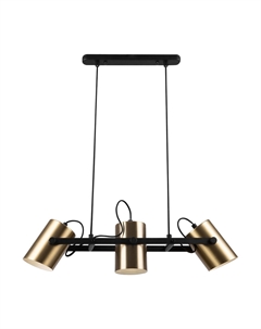 Спот потолочный Elori E27 75 Вт 5 кв.м черный/латунь IP20 (FR4005PL-03BBS) Freya