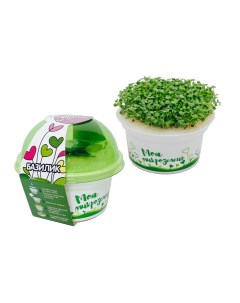 Набор для выращивания микрозелень Базилик 3 г Здоровья клад