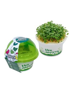 Набор для выращивания микрозелень Рукола 3 г Здоровья клад