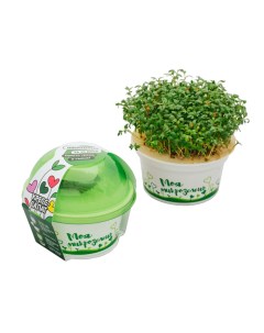 Набор для выращивания микрозелень Кресс салат 3 г Здоровья клад