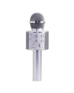 Микрофон колонка Belsis Superstar Silver MA3001SR Magic acoustic