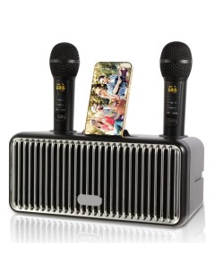 Портативная колонка SD 319 Black микрофон 2 шт Wireless