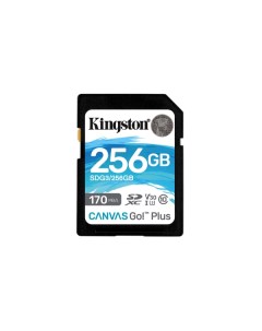 Карта памяти 256GB Canvas Go Plus 170R SDG3 256GB Kingston