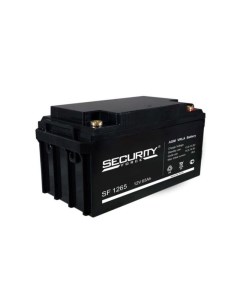 Аккумулятор для ИБП Security Force SF 1265 Nobrand