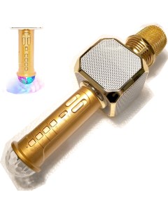 Микрофон караоке SD 10L золотистый Sdrd