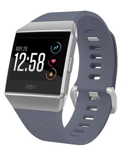 Смарт часы Ionic Blue Gray Silver Gray Fitbit