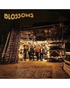 Blossoms Blossoms LP Virgin emi records