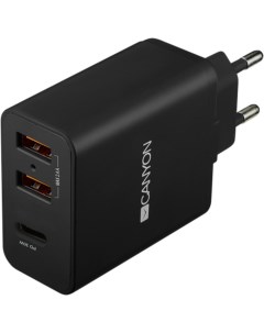Сетевое зарядное устройство CNE CHA08B 2xUSB USB C 30W черное Canyon