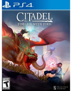 Игра PlayStation Citadel Forget With Fire Английская версия для PS4 Blue isle studios