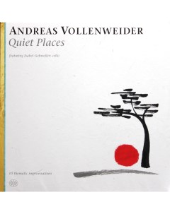 Andreas Vollenweider Isabel Gehweiler Quiet Places LP Миг