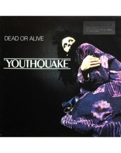 Dead Or Alive Youthquake LP Music on vinyl