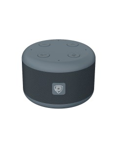 Портативная колонка SmartVoice Grey Prestigio