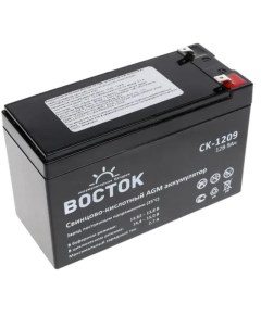 Батарея аккумуляторная pro СК 1209 Vostok