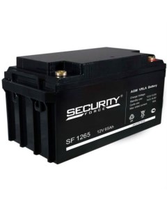 Аккумулятор SF 1265 Security force