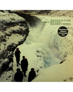 Echo And The Bunnymen Porcupine LP Warner music