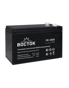 Аккумулятор для ИБП СК 1209 Vostok