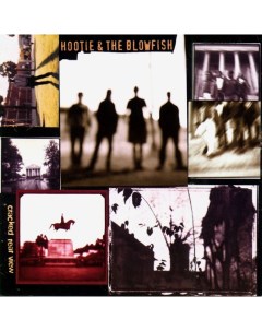 Hootie The Blowfish Cracked Rear View Coloured Vinyl LP Atlantic