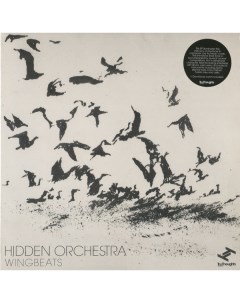 HIDDEN ORCHESTRA Wingbeats EP 12 mp3 Tru thoughts