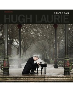 Hugh Laurie DIDN T IT RAIN 180 Gram Warner bros. ie