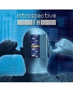 INTROSPECTIVE F M limited edition 100 шт 2LP Артбит