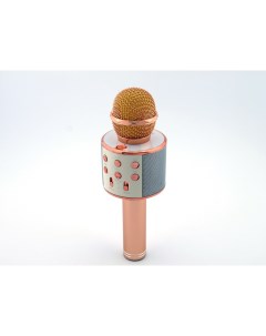 Микрофон колонка WS 858 Gold Pink Wster