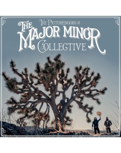 The Picturebooks The Major Minor Collective LP CD Sony music