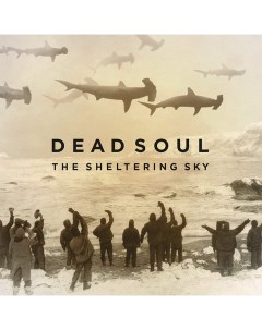 Dead Soul The Sheltering Sky LP CD Century media
