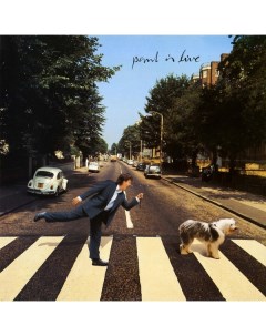 Paul McCartney Paul Is Live Abbey road studios