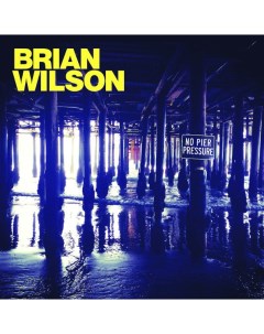 Brian Wilson No Pier Pressure 2LP Capitol records
