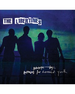 The Libertines Anthems For Doomed Youth LP Virgin emi records