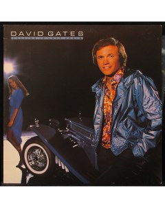 LP David Gates Falling In Love Again Elektra 298247 Plastinka.com