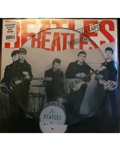 BEATLES Decca Tapes Picture Disc Dol