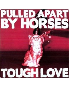 Pulled Apart By Horses Tough Love Transgressive records