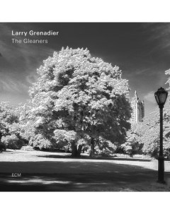 Larry Grenadier The Gleaners LP Ecm records