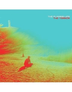 The Flaming Lips The Terror 180g 2LP CD 7 Bella union