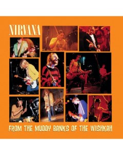 Nirvana From The Muddy Banks Of The Wishkah 2LP Dgc