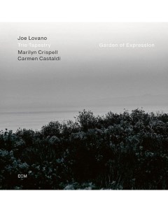 Joe Lovano Trio Tapestry Garden Of Expression LP Ecm records