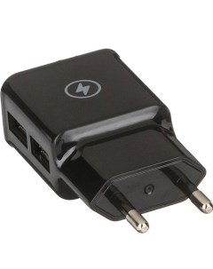 Сетевое зарядное устройство 2 USB 2 1 A black Red line