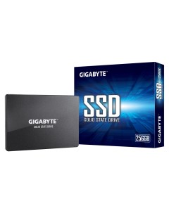 SSD накопитель GP GSTFS31256GTND 2 5 256 ГБ Gigabyte