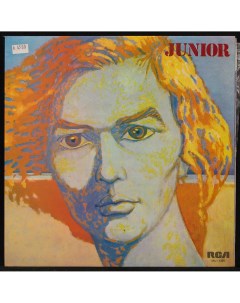 Junior Junior LP Plastinka.com