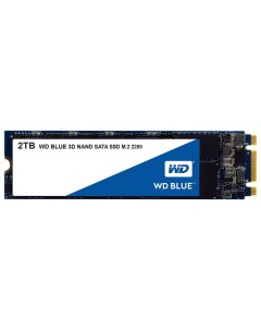 SSD накопитель Blue M 2 2280 2 ТБ S200T2B0B Wd