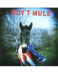 Gov t Mule Gov T Mule Vinyl Music on vinyl (cargo records)