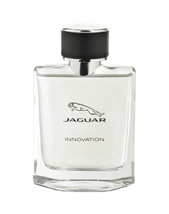 Innovation Jaguar