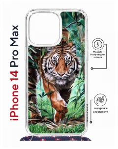 Чехол на iPhone 14 Pro Max MagSafe Kruche Print Крадущийся тигр с магнитом со шнурком