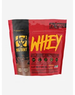 Протеин Whey 2270 г Тройной шоколад Красный Mutant
