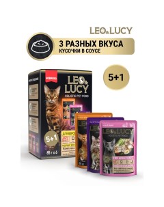 Корм для кошек кусочки в соусе Ассорти 5 1 НТС Leo&lucy